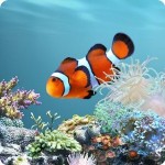 aniPet Marine Aquarium Live Wallpaper