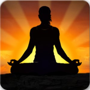 Yoga Guru Pro