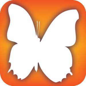 Audubon Butterflies - A Field Guide to North American Butterflies