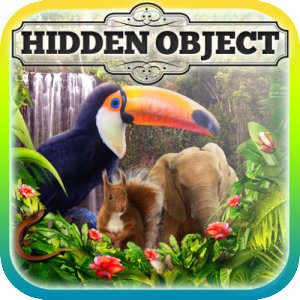 Hidden Object - Journey into the Wilderness