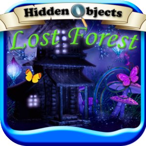 Hidden Objects Lost Forest